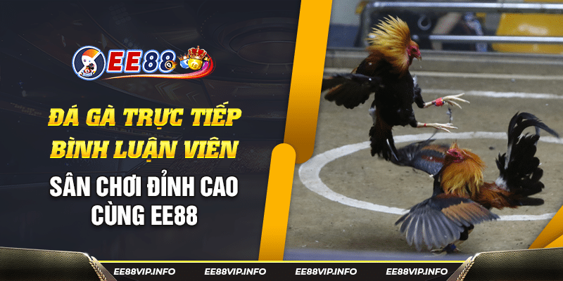 66 Da ga truc tiep binh luan vien San choi dinh cao cung EE88