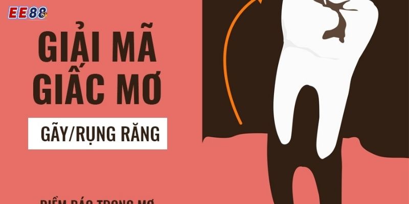 Ý nghĩa của giấc mơ rụng răng mang đến thắng lớn